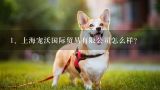 上海宠沃国际贸易有限公司怎么样？从上海带宠物猫去美国
