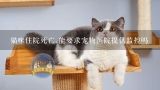 猫咪住院死亡,能要求宠物医院提供监控吗,造梦西游3怎么抓宠物