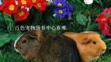 百色宠物领养中心在哪,广州疫情期间宠物医院营业吗