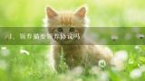 领养猫要领养协议吗,买宠物猫需要注意什么