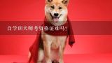 自学训犬师考资格证难吗？我想考初级训犬师怎么考