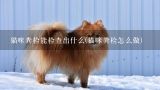 猫咪粪检能检查出什么(猫咪粪检怎么做),猫便检能查出什么？