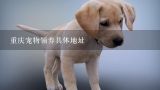重庆宠物领养具体地址,重庆有没有比较正式宠物领养中心？