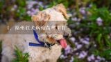 福州狂犬病疫苗哪里打,请问福州哪里给狗狗打疫苗便宜，价钱多少？麻烦地址