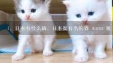 日本有什么猫，日本挺有名的猫 maru 属于什么品种》,日本最受欢迎的猫品种，日本什么猫或者狗狗最可爱，