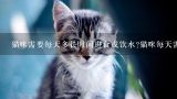 猫咪需要每天多长时间进食或饮水?猫咪每天需要多少时间来进食或者喝水?