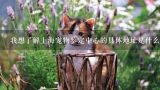 我想了解上海宠物鉴定中心的具体地址是什么?