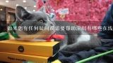 如果您有任何疑问或需要帮助深圳有哪些在线平台可以让您的宠物得到更照顾吗?