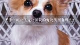 天津市河北区宠物医院的宠物类型有哪些?