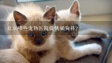 北京哪些宠物医院提供猫狗科?