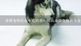 郑州宠物检疫中心的兽医团队成员资格和专业技能?