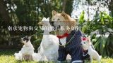 南京宠物狗交易的售后服务如何?