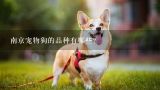 南京宠物狗的品种有哪些?