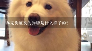 办完狗证发的狗牌是什么样子的？