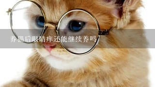 养猫后眼睛痒还能继续养吗