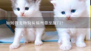 如何将宠物狗从福州带至厦门?