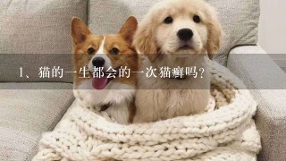 猫的一生都会的一次猫癣吗？