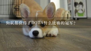 狗弑都获得了DOTA什么比赛的冠军？