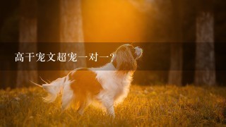 高干宠文超宠一对一？