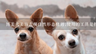 博美犬美容表现自然形态修剪,使用的工具是打薄剪,又称牙剪