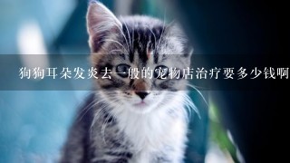 狗狗耳朵发炎去一般的宠物店治疗要多少钱啊？急急急