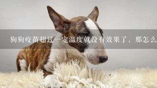 狗狗疫苗超过一定温度就没有效果了，那怎么确定疫苗