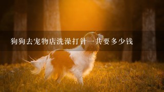 狗狗去宠物店洗澡打针一共要多少钱