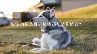 一般宠物狗是母狗值钱还是公狗值钱？