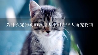 为什么宠物狗的体型大小相差很大而宠物猫