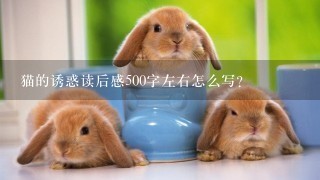 猫的诱惑读后感500字左右怎么写？