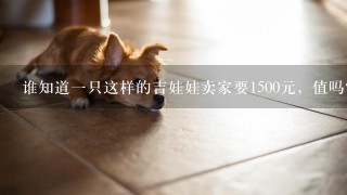 谁知道一只这样的吉娃娃卖家要1500元，值吗？狗狗不