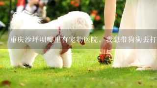 重庆沙坪坝哪里有宠物医院，我想带狗狗去打针