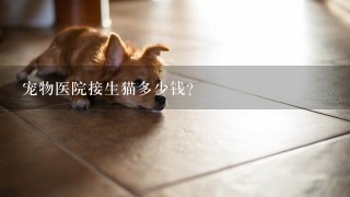 宠物医院接生猫多少钱？