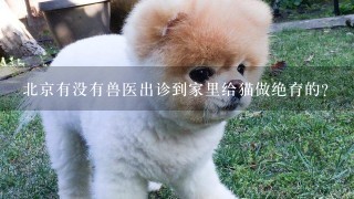 北京有没有兽医出诊到家里给猫做绝育的？