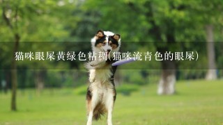 猫咪眼屎黄绿色粘稠(猫咪流青色的眼屎)