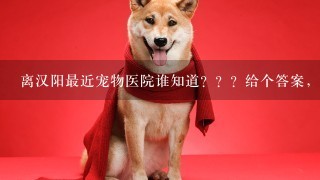 离汉阳最近宠物医院谁知道？？？给个答案，急。