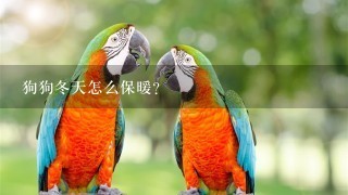 狗狗冬天怎么保暖？