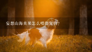 妄想山海炎果怎么喂给宠物？