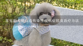 常见的犬猫病毒传染性疾病症状及治疗方法