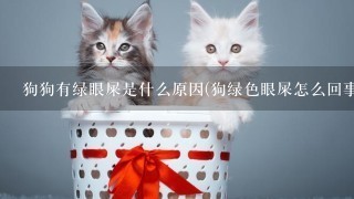 狗狗有绿眼屎是什么原因(狗绿色眼屎怎么回事)