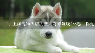 上海宠物酒店大型犬寄养每晚288起，你觉得宠物住一