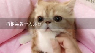 猫粮品牌十大排行