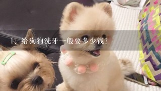 给狗狗洗牙一般要多少钱？