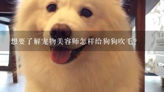 想要了解宠物美容师怎样给狗狗吹毛？