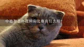 中德智慧杯逻辑狗比赛有什么用？