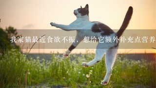 我家猫最近食欲不振，想给它额外补充点营养，信元发