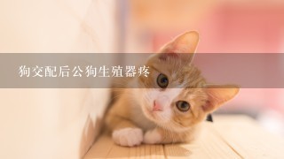 狗交配后公狗生殖器疼