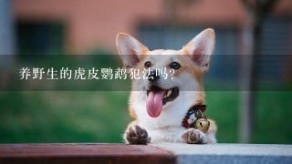 养野生的虎皮鹦鹉犯法吗？