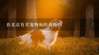 在北京有买宠物狗的市场吗