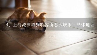 上海流浪猫狗收容所怎么联系，具体地址